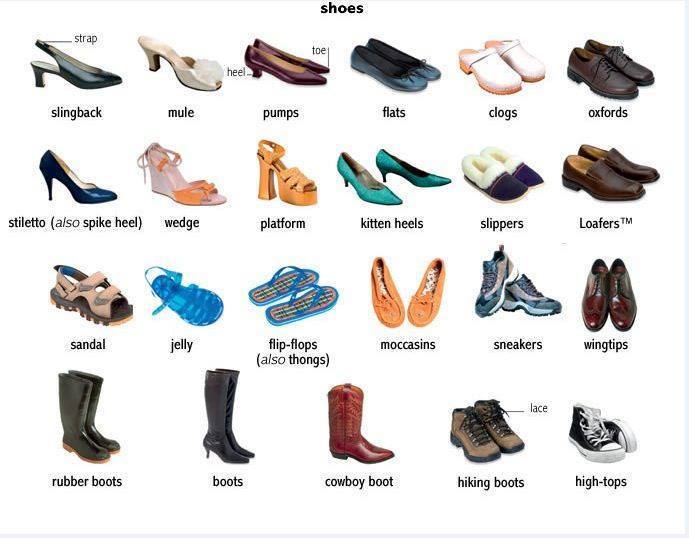 คำศัพท์ภาษาอังกฤษ หมวดรองเท้า (Shoes) - learningstudio.info คำศัพท์ภาษาอังกฤษ หมวดรองเท้า (Shoes) - Learningstudio.Info