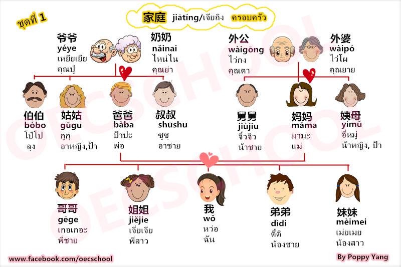 เรียนภาษาจีน คำศัพท์ภาษาจีน หมวดครอบครัว, mandarin chinese language family vocabulary