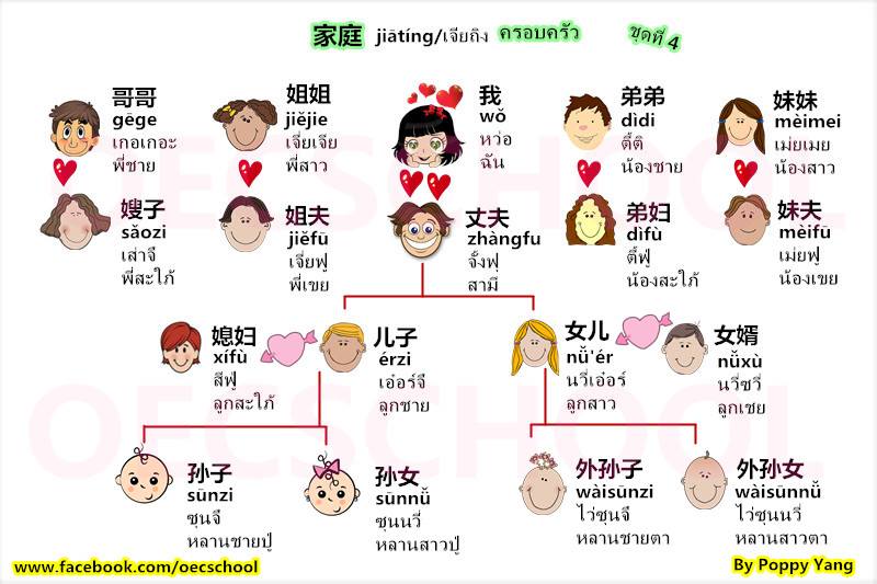 เรียนภาษาจีน คำศัพท์ภาษาจีน หมวดครอบครัว, mandarin chinese language family vocabulary เรียนภาษาจีน คำศัพท์ภาษาจีน หมวดครอบครัว, mandarin chinese language family vocabulary