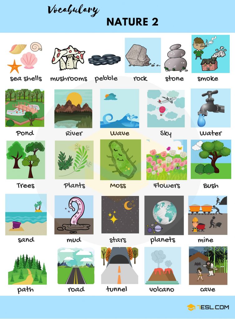 คำศัพท์ภาษาอังกฤษ หมวดธรรมชาติ Nature Vocabulary