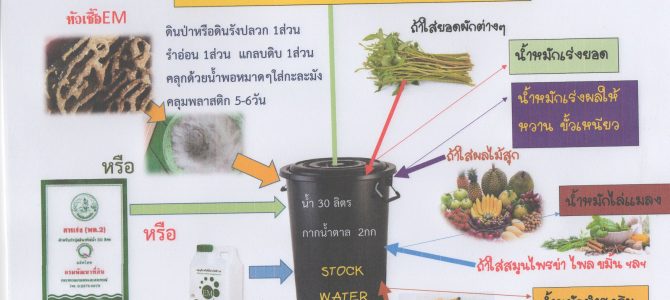 สูตรการทำน้ำหมักชีวภาพสำหรับพืชแบบง่ายๆ (How to Make Bio-Fermented Water)