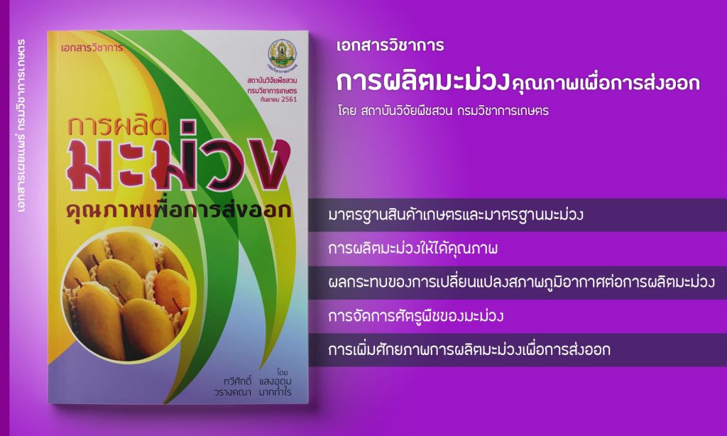 การผลิตมะม่วงคุณภาพเพื่อการส่งออก